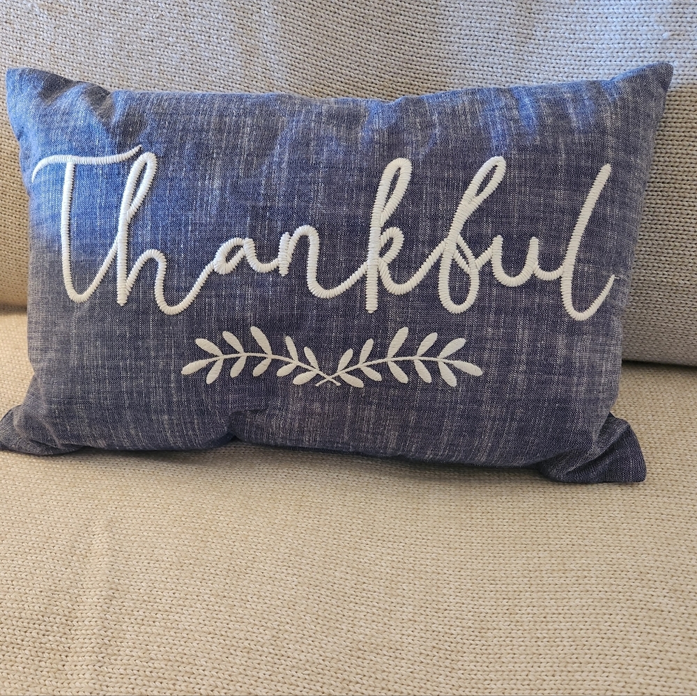 Thankful Chambray Throw Pillow from Target